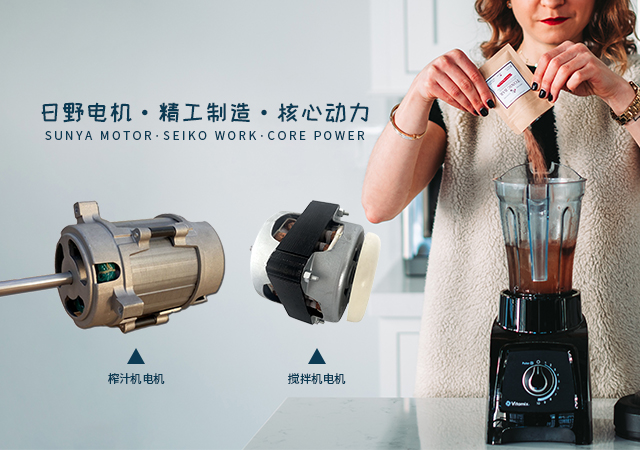 道閘電機廠,家用電機廠,工業電機廠